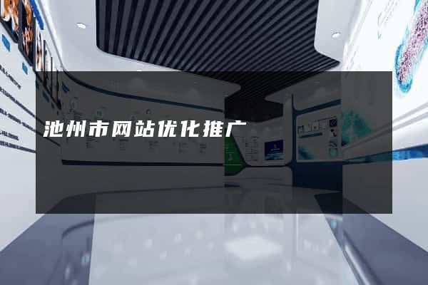 池州市网站优化推广