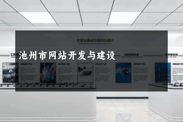 池州市网站开发与建设