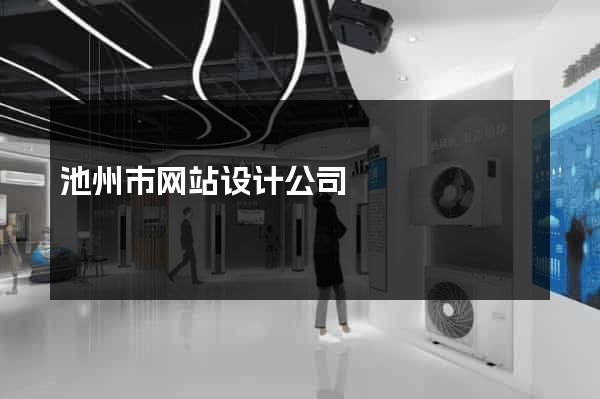池州市网站设计公司