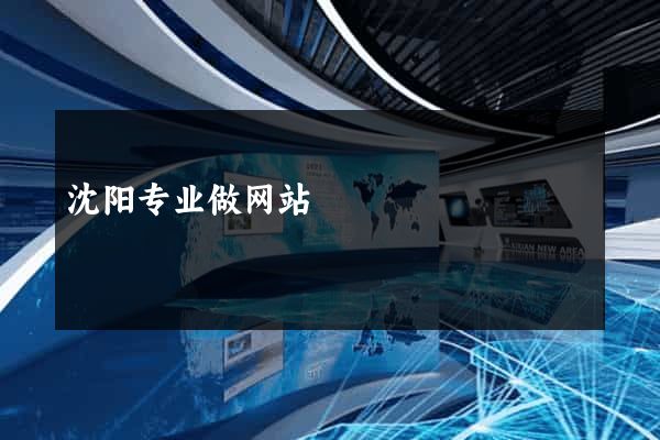 沈阳专业做网站