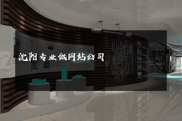 沈阳专业做网站公司