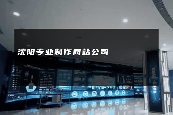沈阳专业制作网站公司