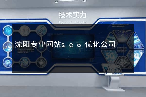 沈阳专业网站seo优化公司