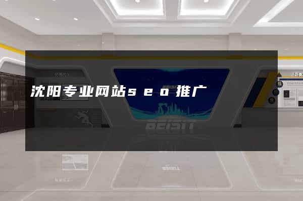 沈阳专业网站seo推广