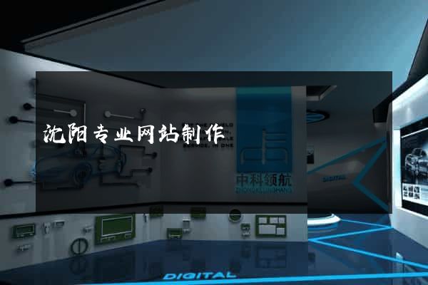 沈阳专业网站制作