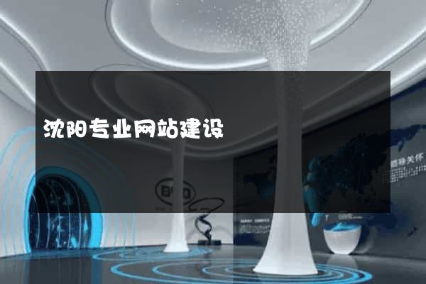 沈阳专业网站建设