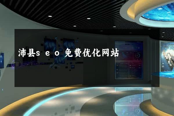 沛县seo免费优化网站