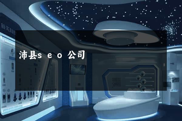 沛县seo公司
