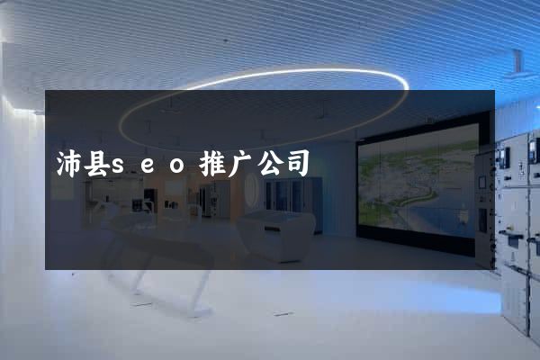 沛县seo推广公司