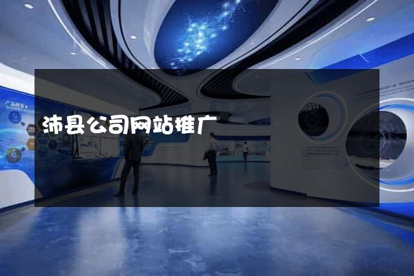 沛县公司网站推广