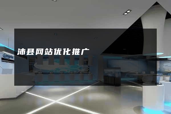 沛县网站优化推广