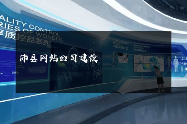 沛县网站公司建设