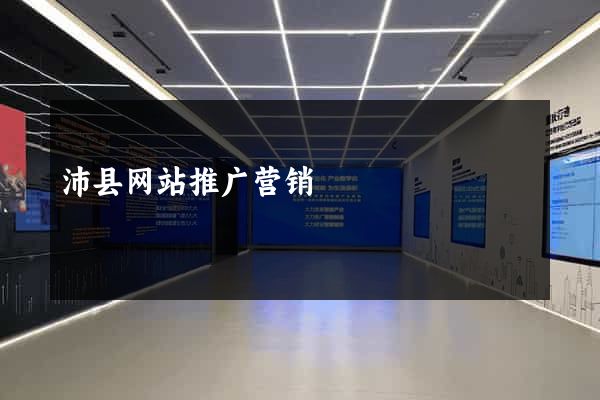 沛县网站推广营销