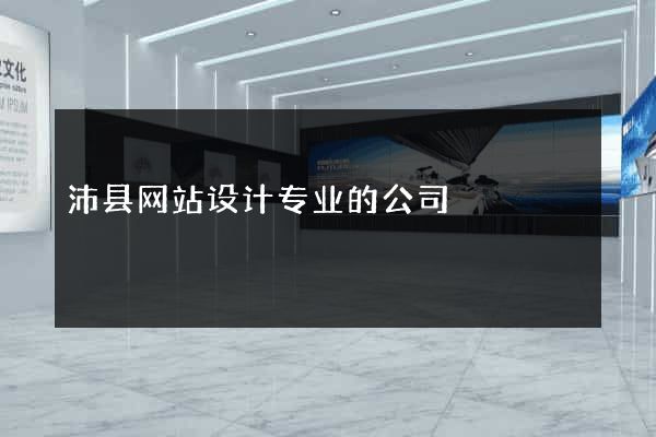 沛县网站设计专业的公司
