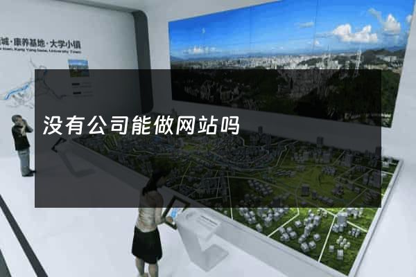 没有公司能做网站吗