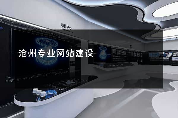 沧州专业网站建设