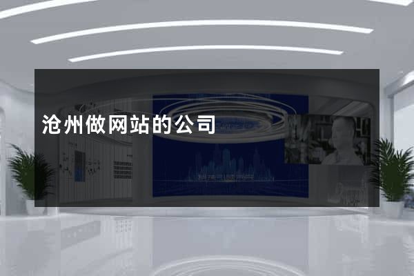 沧州做网站的公司