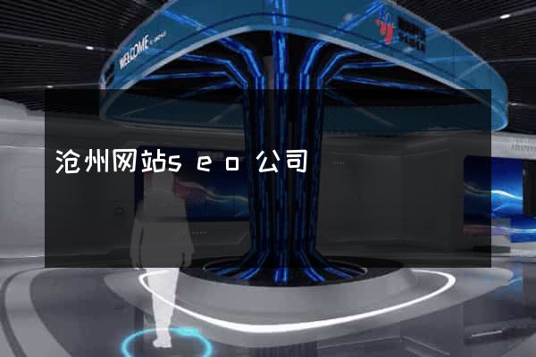 沧州网站seo公司