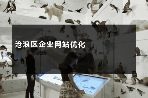 沧浪区企业网站优化