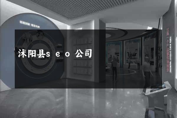 沭阳县seo公司