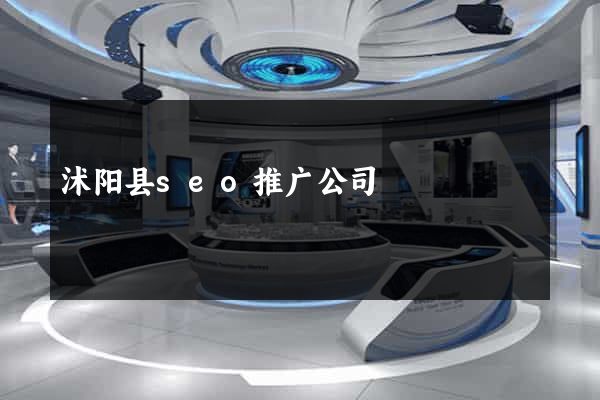 沭阳县seo推广公司