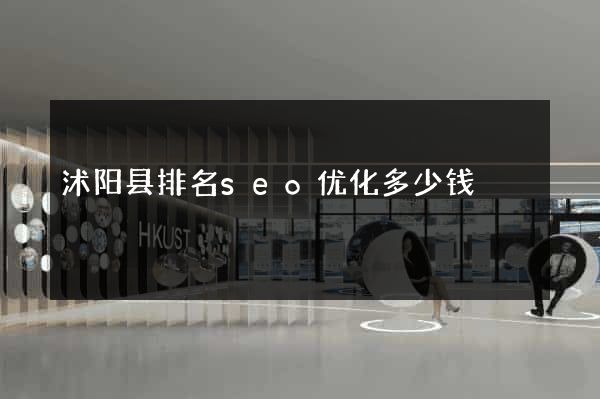 沭阳县排名seo优化多少钱