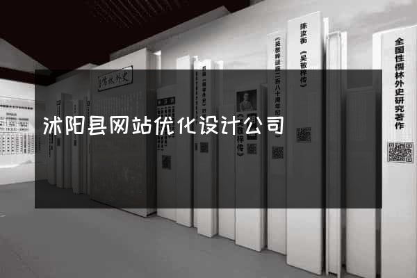 沭阳县网站优化设计公司