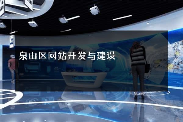 泉山区网站开发与建设