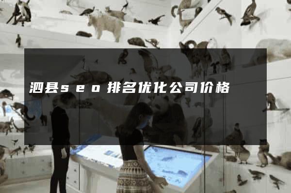 泗县seo排名优化公司价格