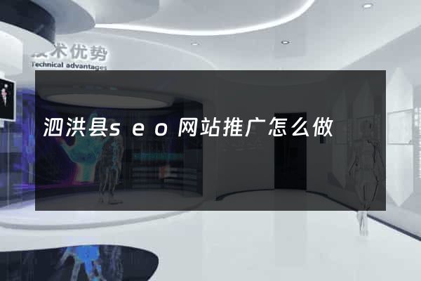 泗洪县seo网站推广怎么做