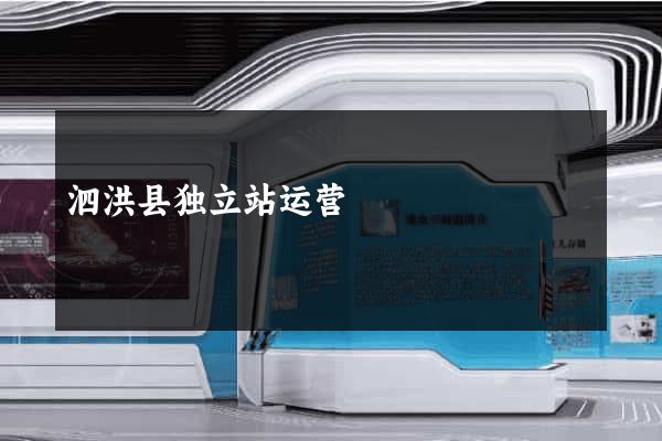 泗洪县独立站运营