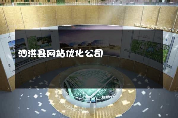 泗洪县网站优化公司