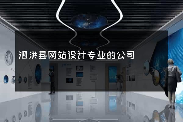 泗洪县网站设计专业的公司