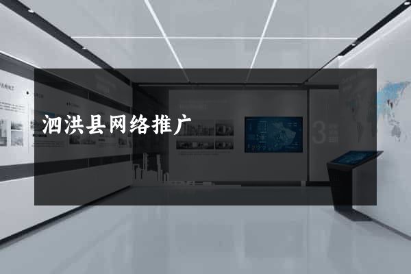 泗洪县网络推广