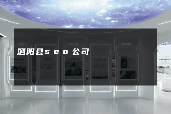 泗阳县seo公司