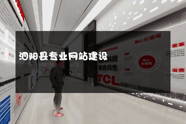 泗阳县专业网站建设