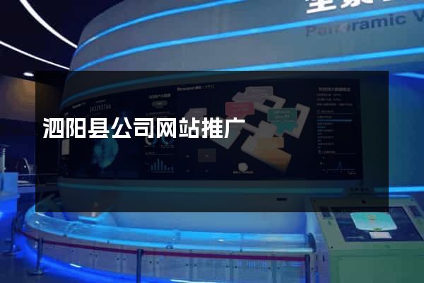 泗阳县公司网站推广