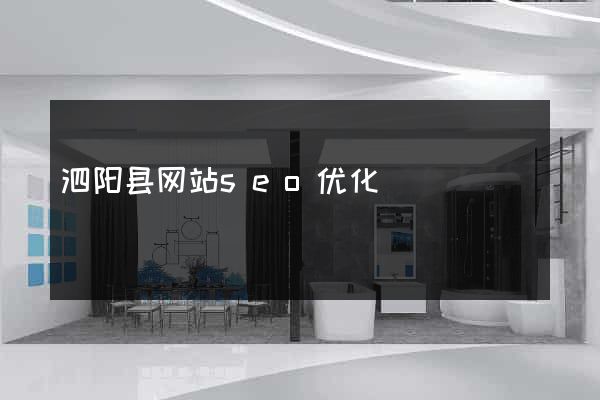泗阳县网站seo优化