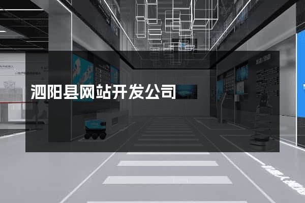 泗阳县网站开发公司