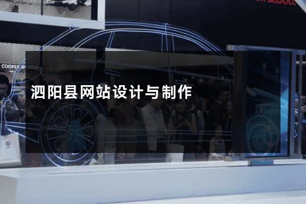 泗阳县网站设计与制作