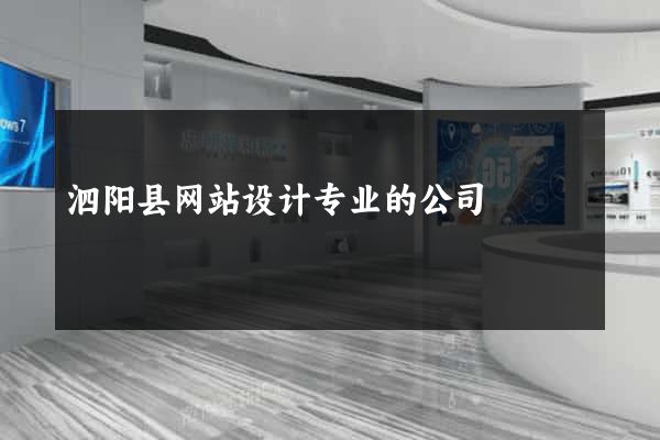 泗阳县网站设计专业的公司