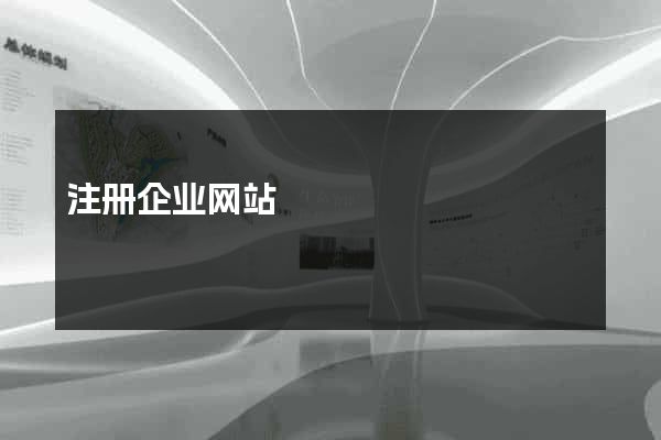 注册企业网站
