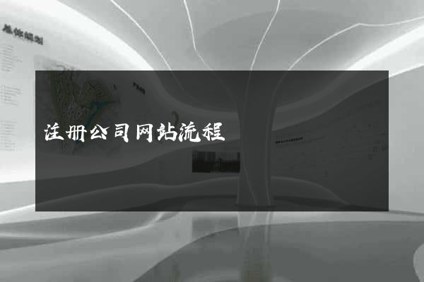 注册公司网站流程