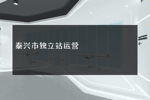 泰兴市独立站运营