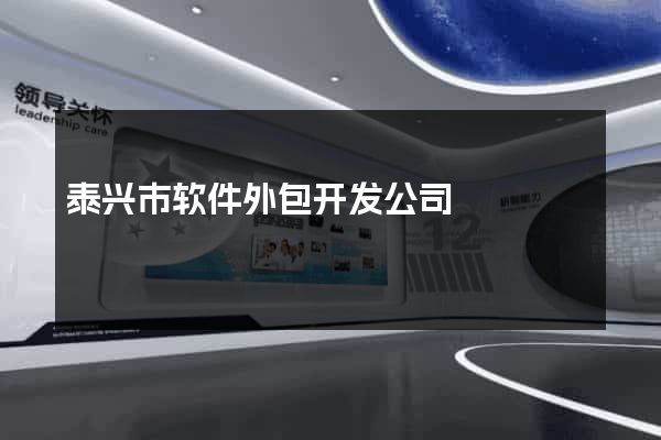 泰兴市软件外包开发公司