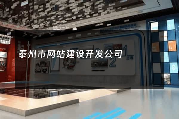 泰州市网站建设开发公司