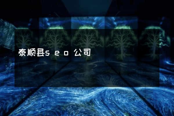 泰顺县seo公司