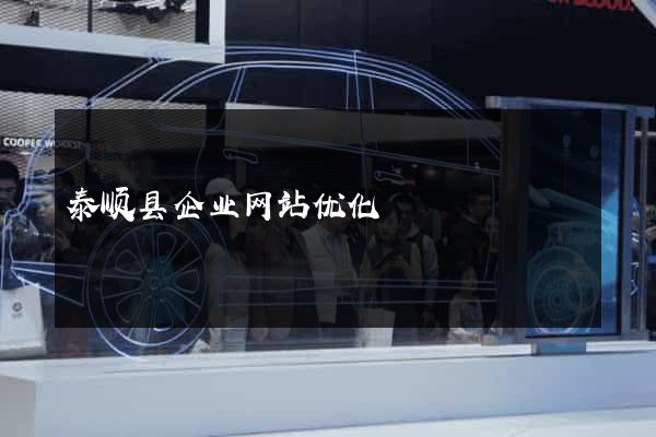 泰顺县企业网站优化