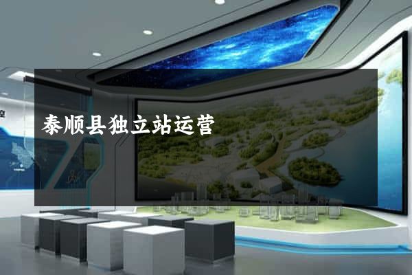 泰顺县独立站运营