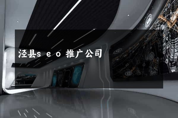 泾县seo推广公司